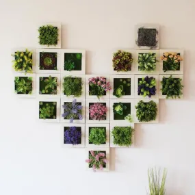 3D Plant Wall Art - Maintenance Free Artificial Plants for Table and Wall Décor