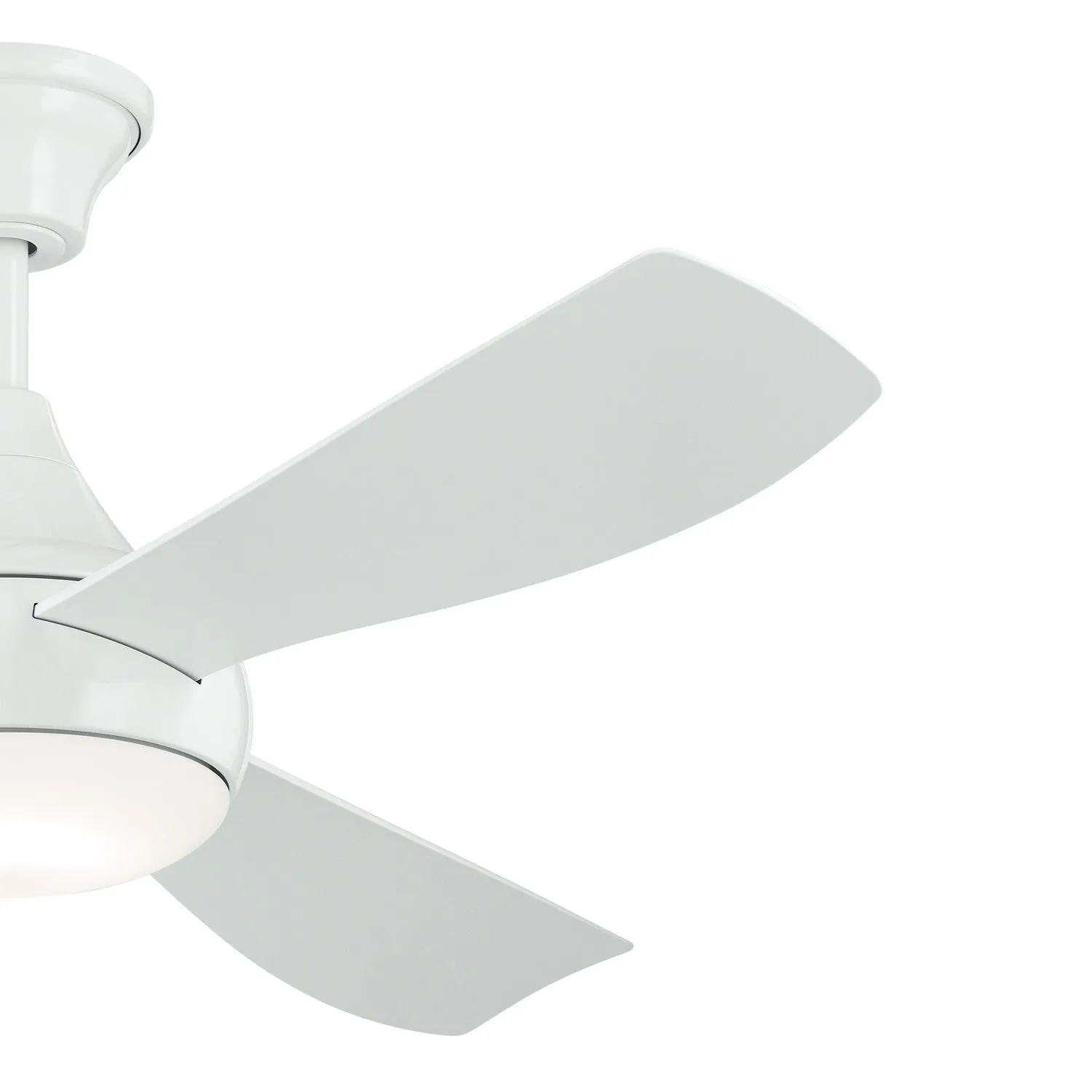 Ample Ceiling Fan