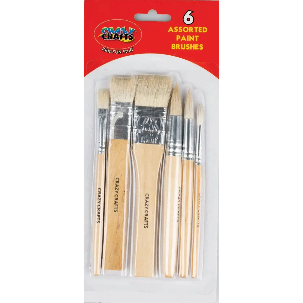 Assorted Paint Brushes - 6pcs