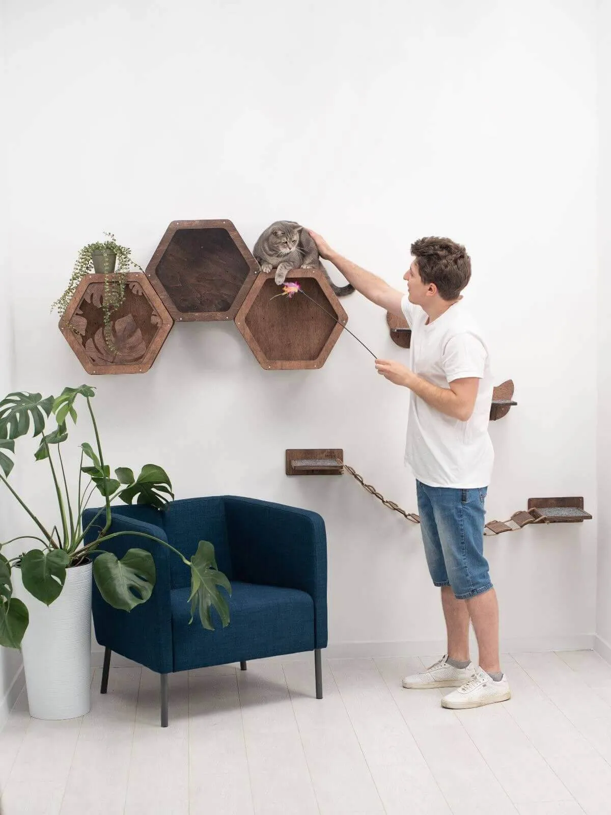 Cat Hexagon Shelf Dark Walnut