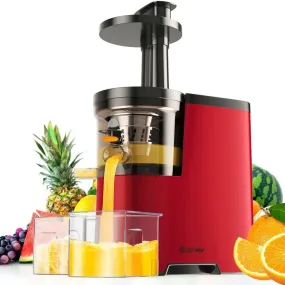 Costway Slow Juicer EP24000US,Fruit Vegetable Masticating Cold Press Extractor