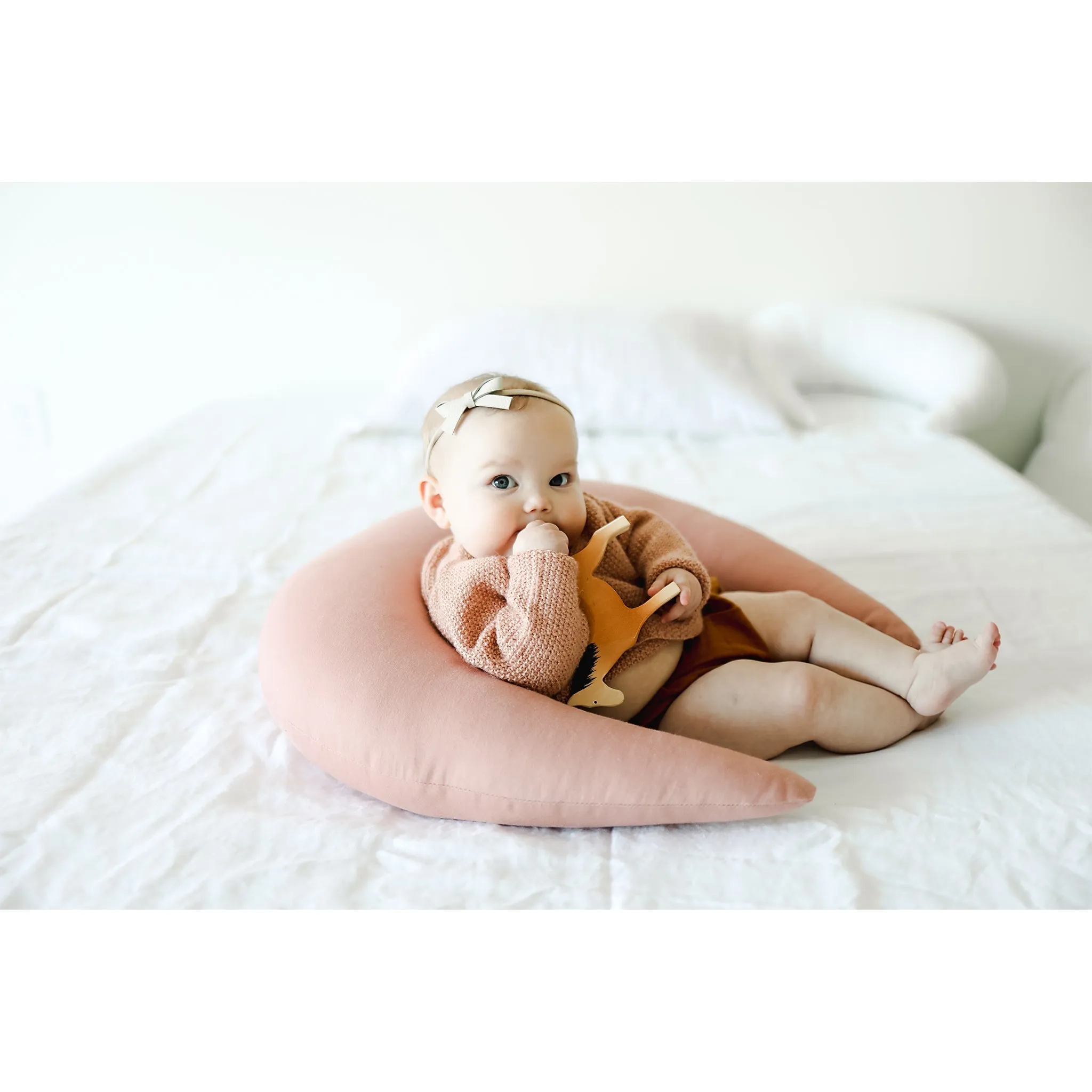 Feeding & Support Pillow · gumdrop