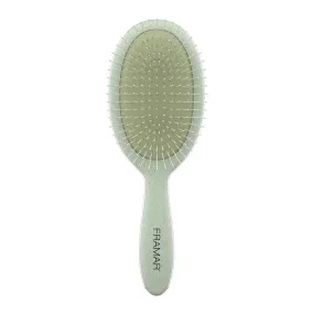 Framar Neutrals Sage Detangle Brush - Fig