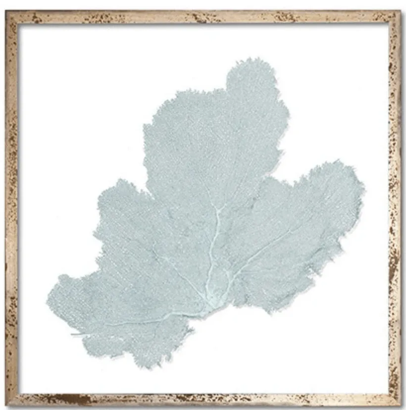 Framed Custom Sea Fan Art  (multiple sizes & colors) - Silver Acid Wash Frame