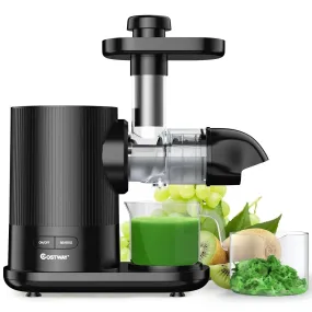 Horizontal Slow Masticating Extractor Juicer with Brush 25194073