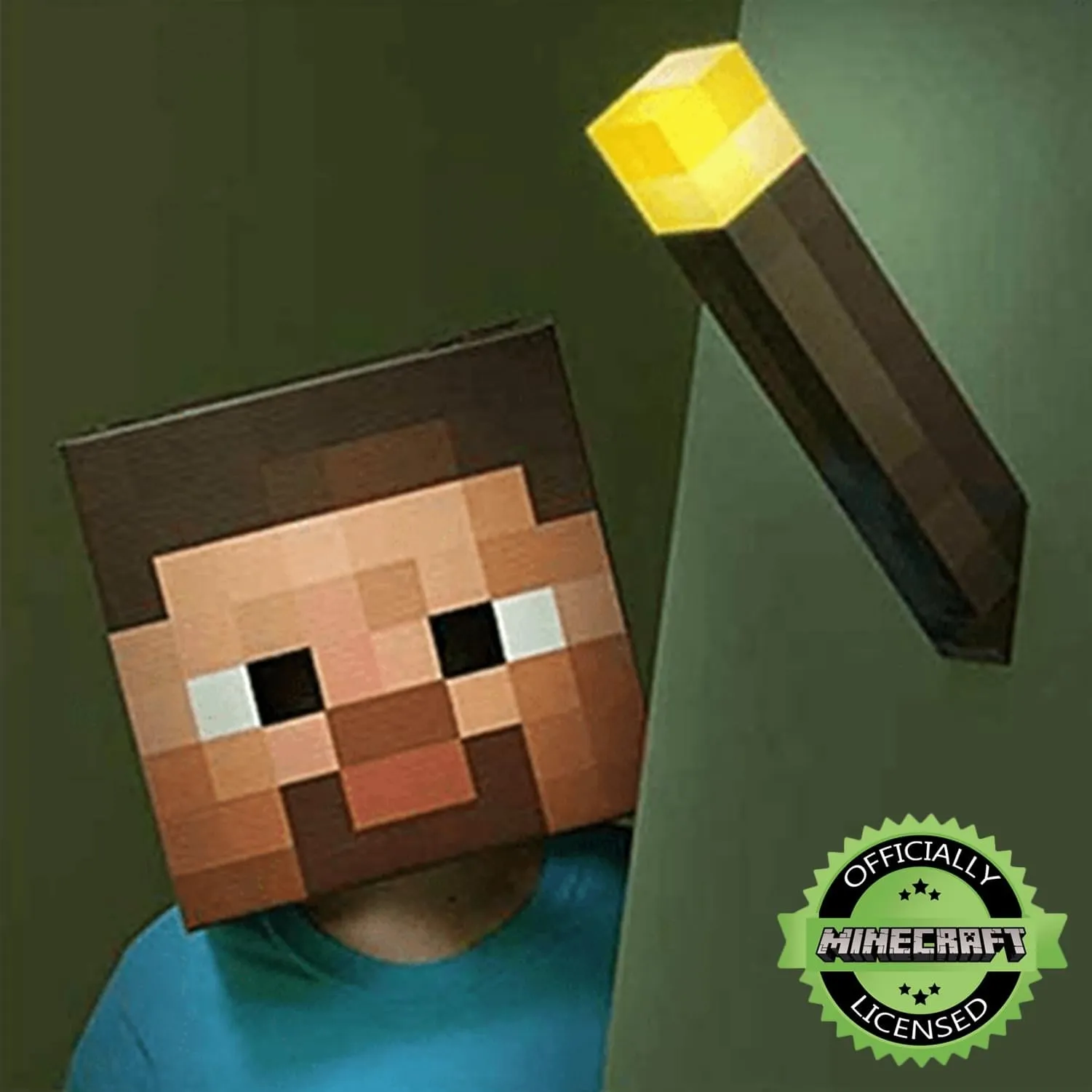 Minecraft Torch Light | 12 Inch LED Night Lamp and Play Light