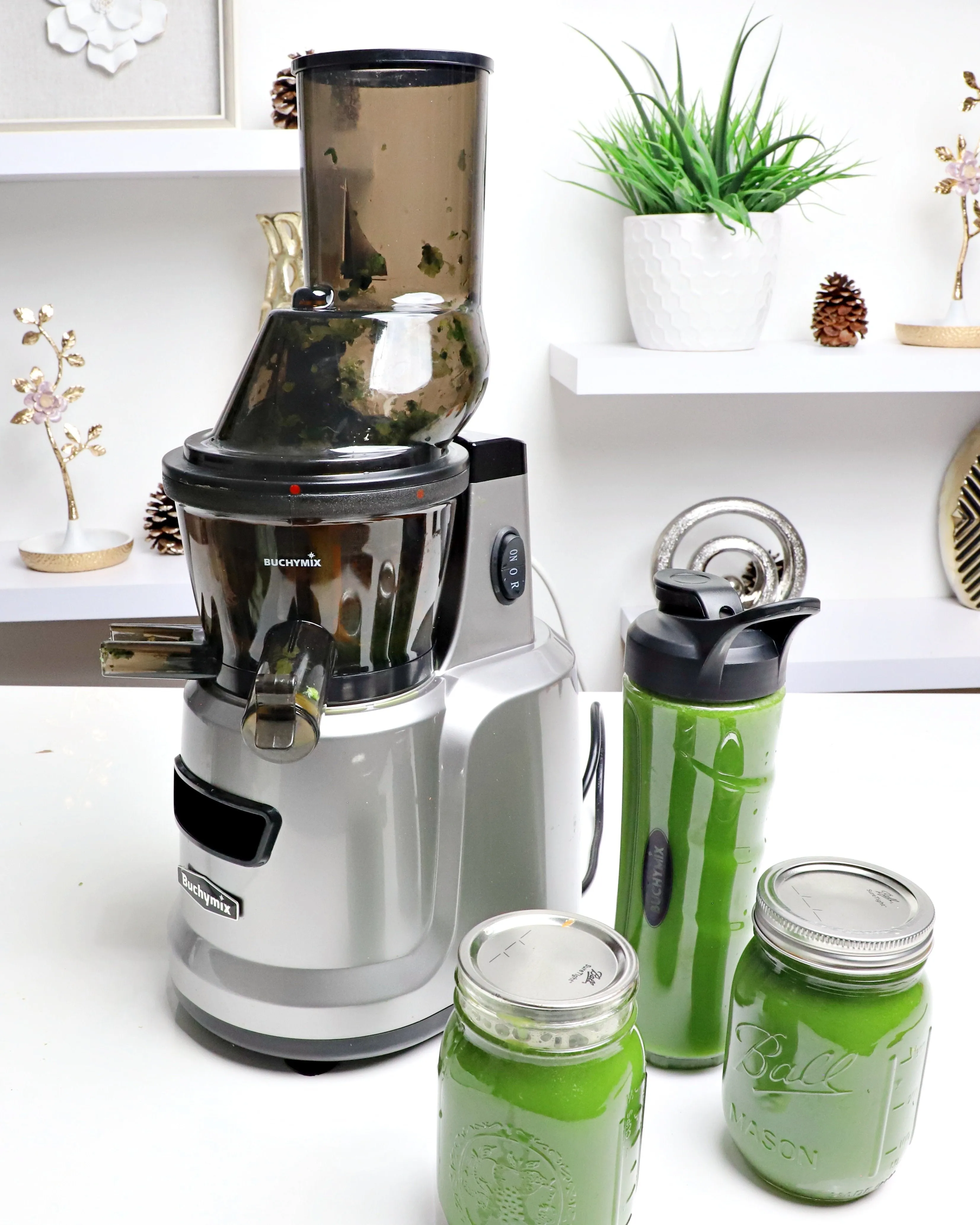 Premium Multifunctional Masticating Whole Cold Press Slow Juice Extractor