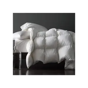 Save on Royoliving Premium Silver Down Comforter