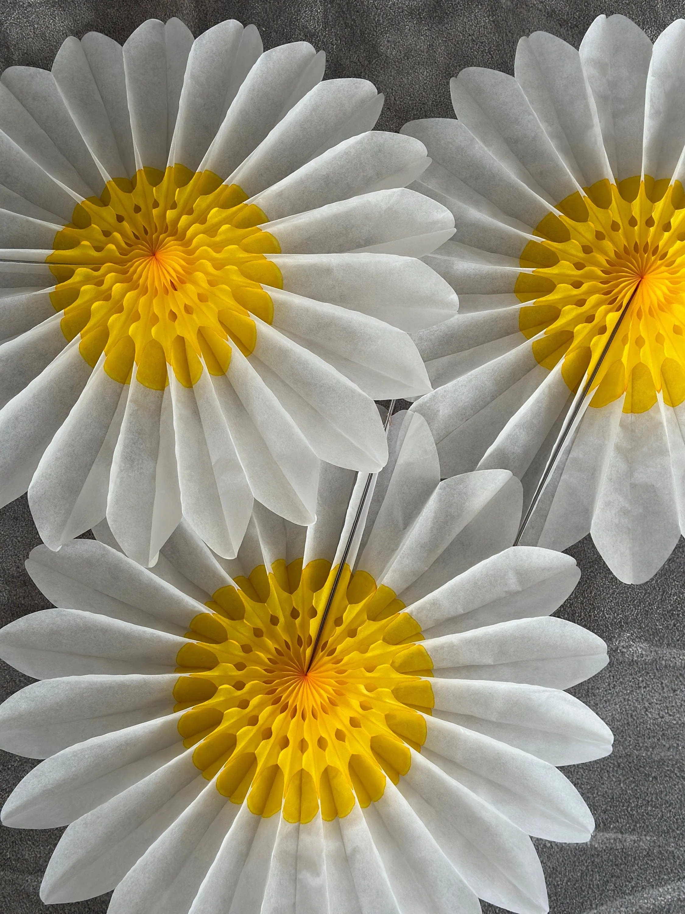 Set of 3 Beautiful White and Yellow Paper Daisy Flowers - Huge Paper Fan Party Decorations -  Paper Flower Decor for Weddings and birthday