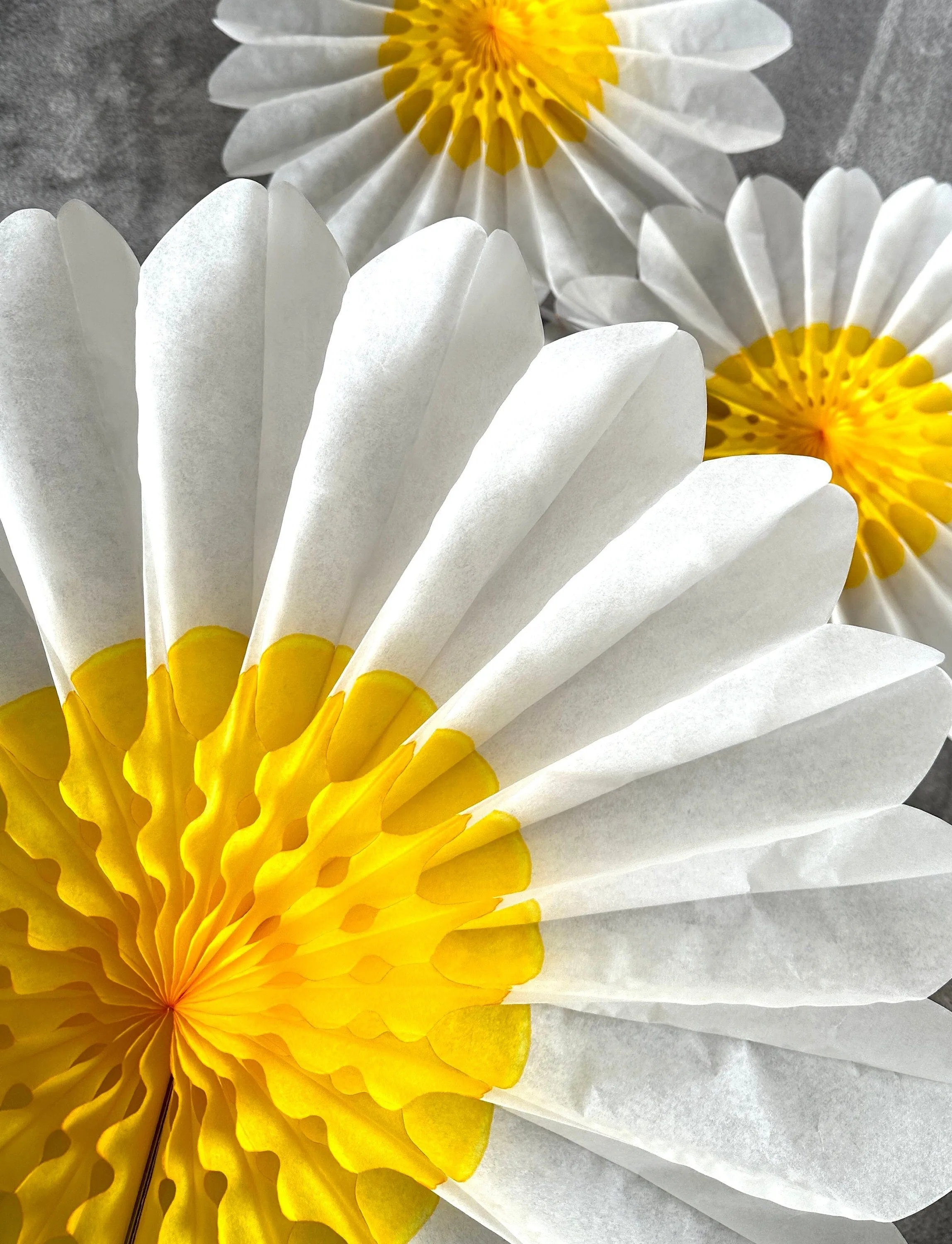 Set of 3 Beautiful White and Yellow Paper Daisy Flowers - Huge Paper Fan Party Decorations -  Paper Flower Decor for Weddings and birthday