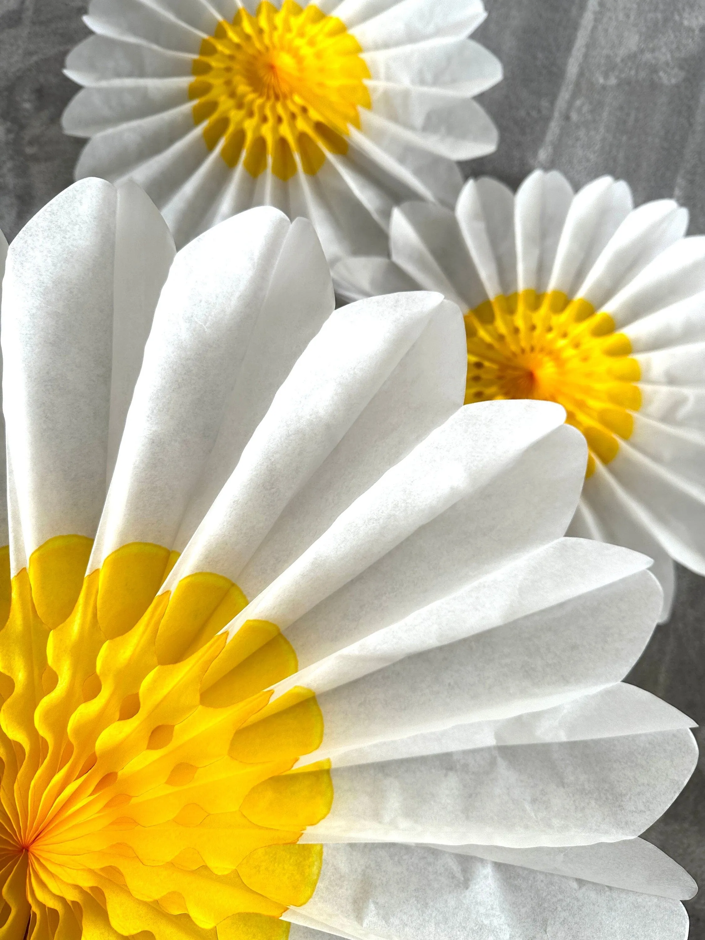 Set of 3 Beautiful White and Yellow Paper Daisy Flowers - Huge Paper Fan Party Decorations -  Paper Flower Decor for Weddings and birthday