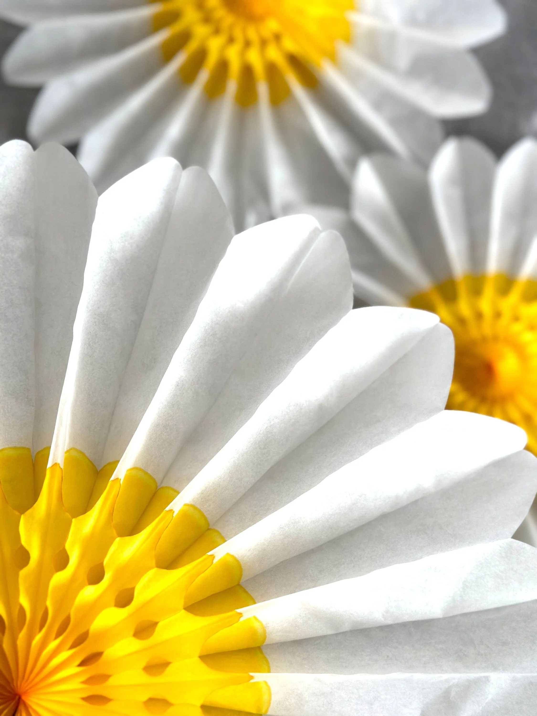 Set of 3 Beautiful White and Yellow Paper Daisy Flowers - Huge Paper Fan Party Decorations -  Paper Flower Decor for Weddings and birthday