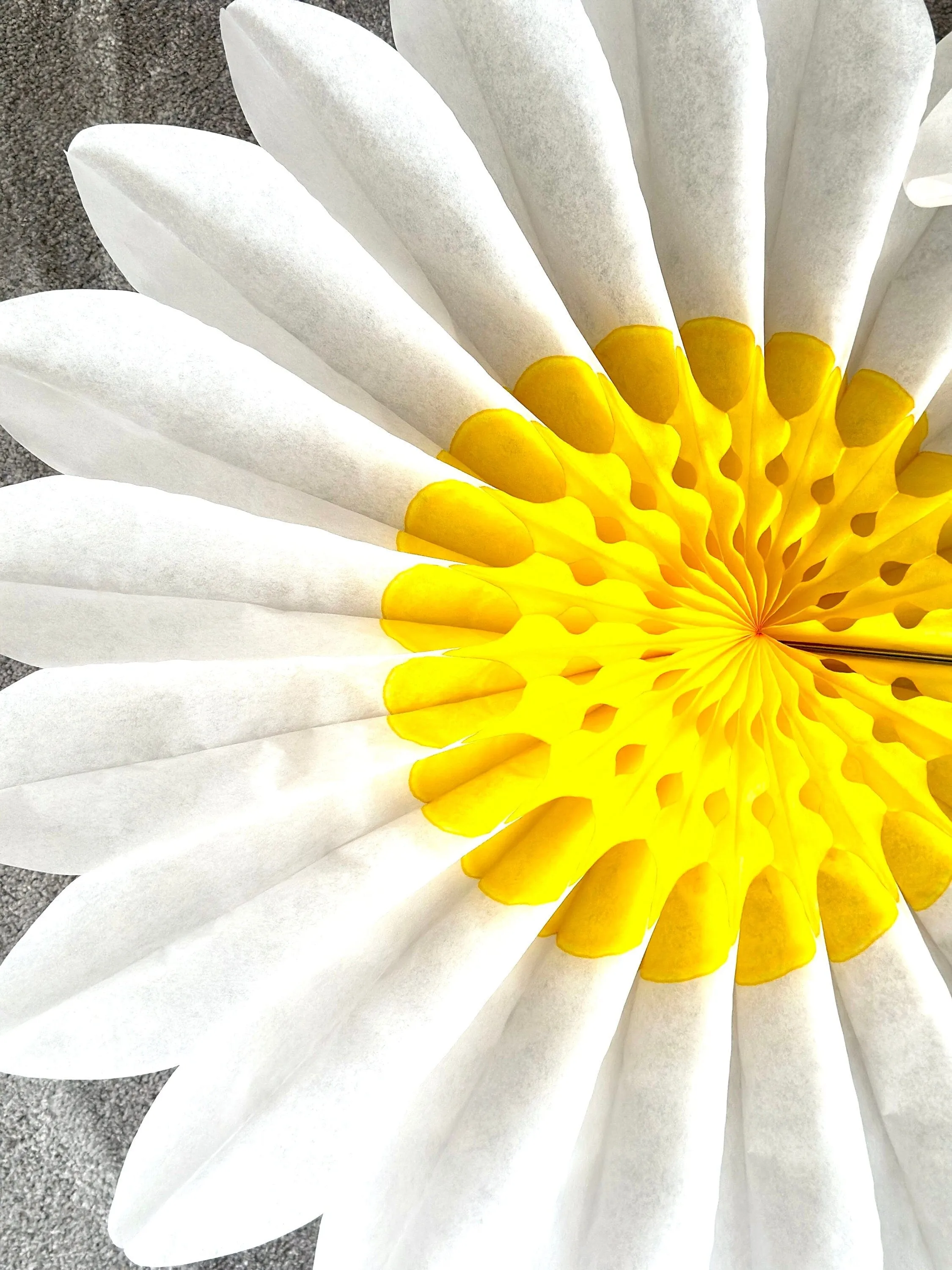 Set of 3 Beautiful White and Yellow Paper Daisy Flowers - Huge Paper Fan Party Decorations -  Paper Flower Decor for Weddings and birthday