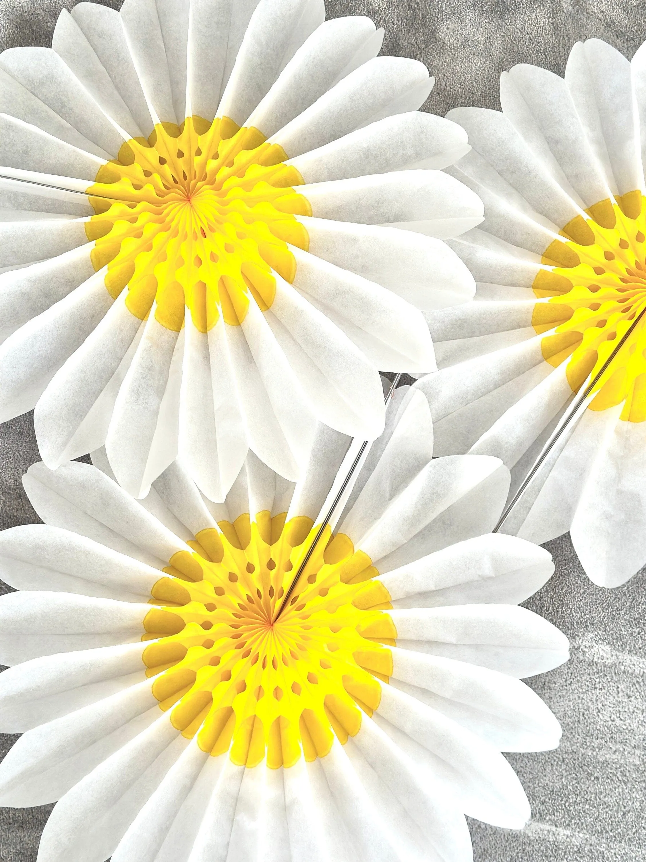 Set of 3 Beautiful White and Yellow Paper Daisy Flowers - Huge Paper Fan Party Decorations -  Paper Flower Decor for Weddings and birthday