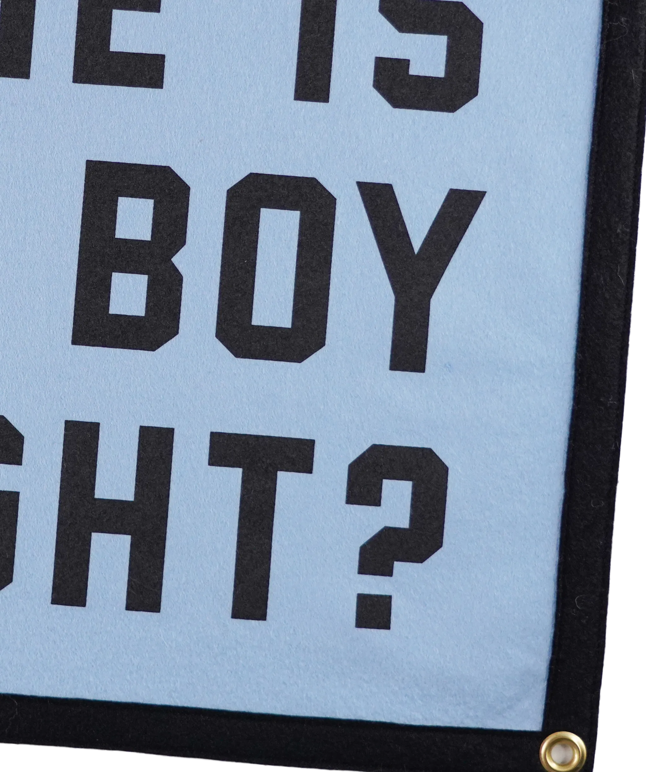 Where Is Your Boy Tonight? Camp Flag • Fall Out Boy x Oxford Pennant