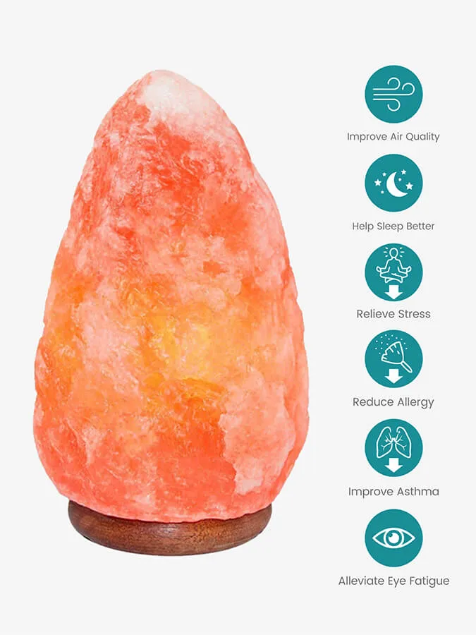 Yoga Studio Natural Himalayan Salt Lamp